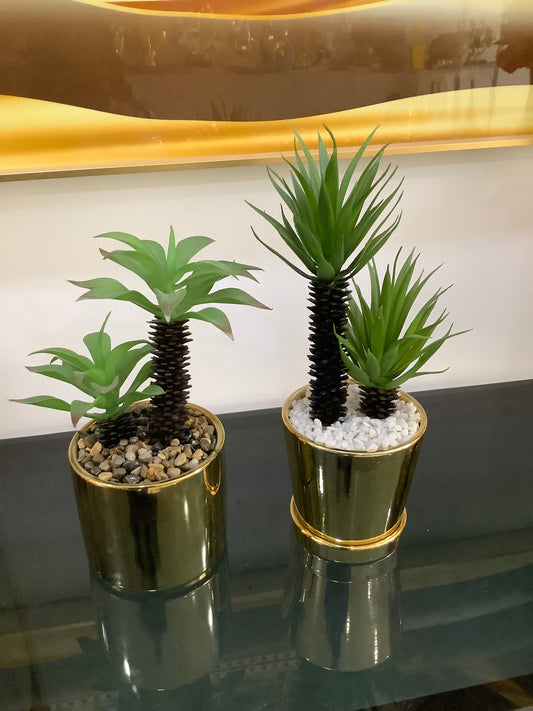 Gold Base Table plant