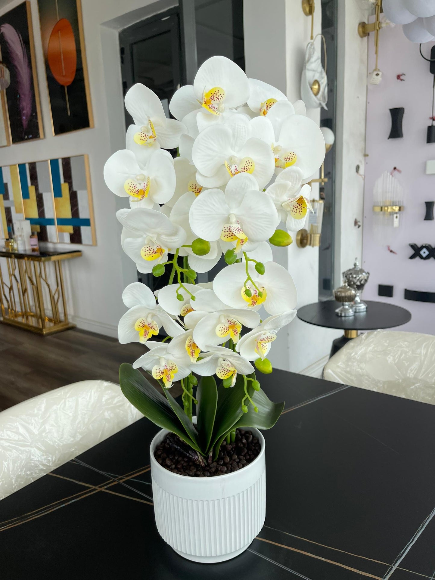 Large orchid plant