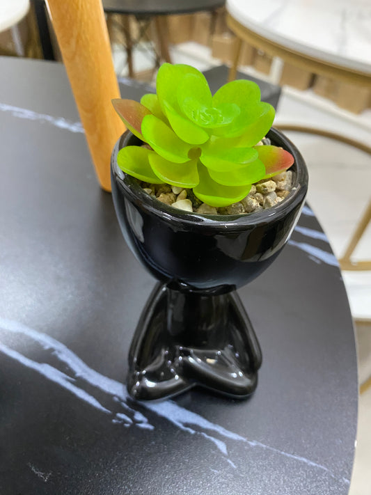 Table plant