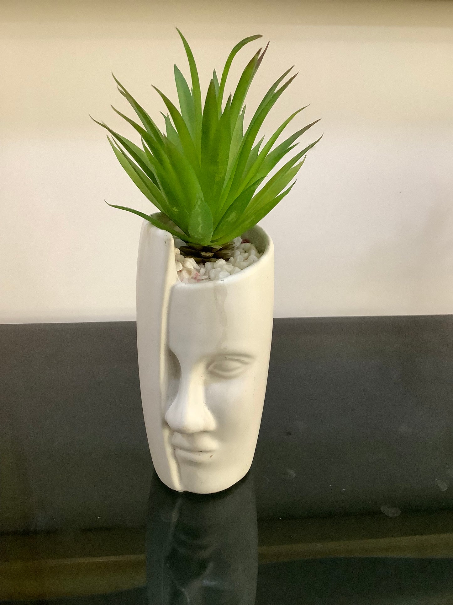 Face table plant