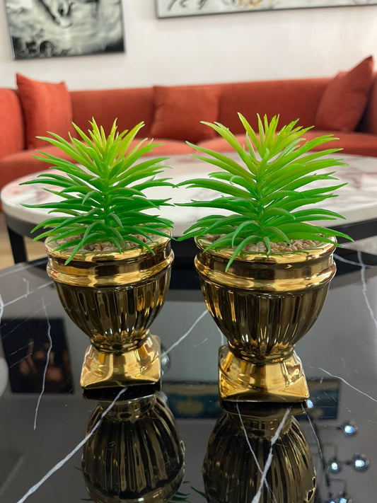 Gold table plant