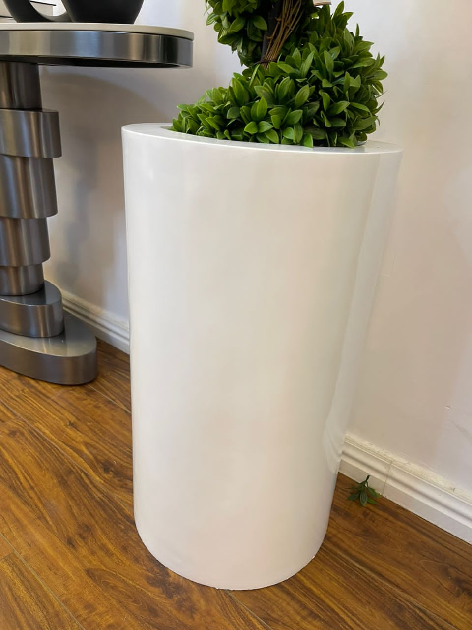 Luxury ceramic pot and plant