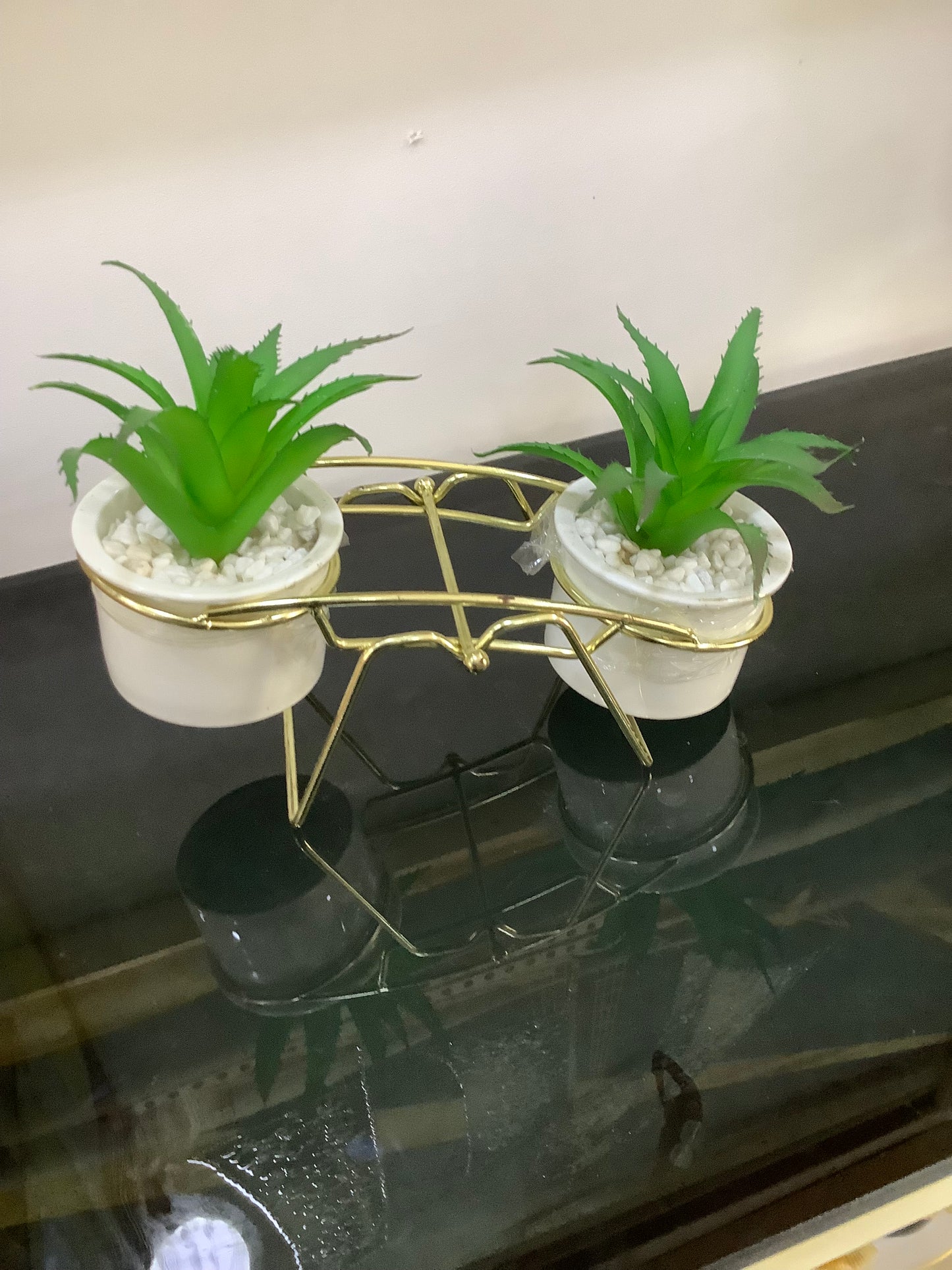 White swing table plant