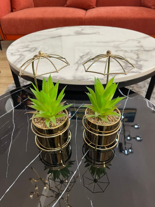 Umbrella Table Plant