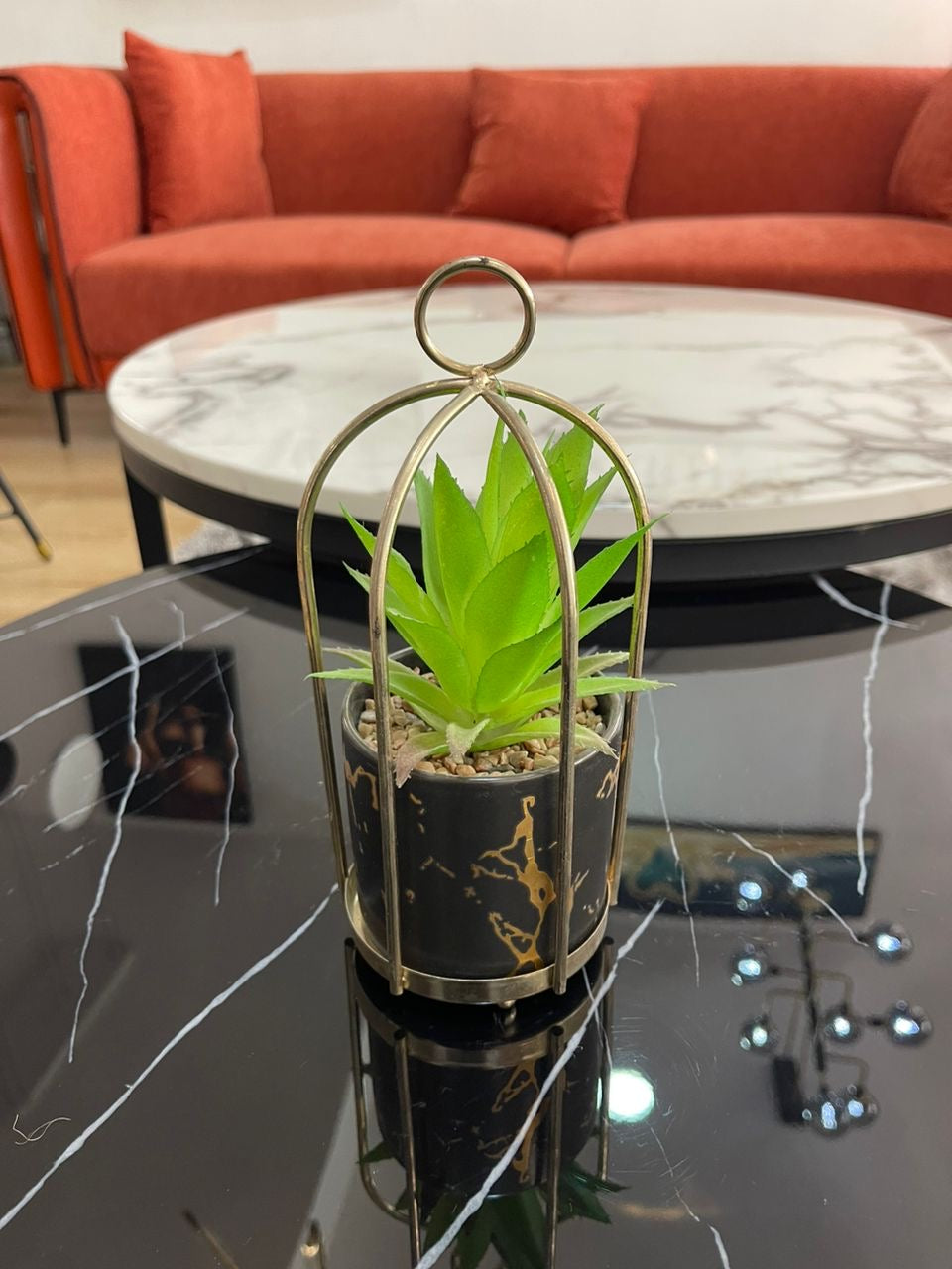 Marble Table Plant