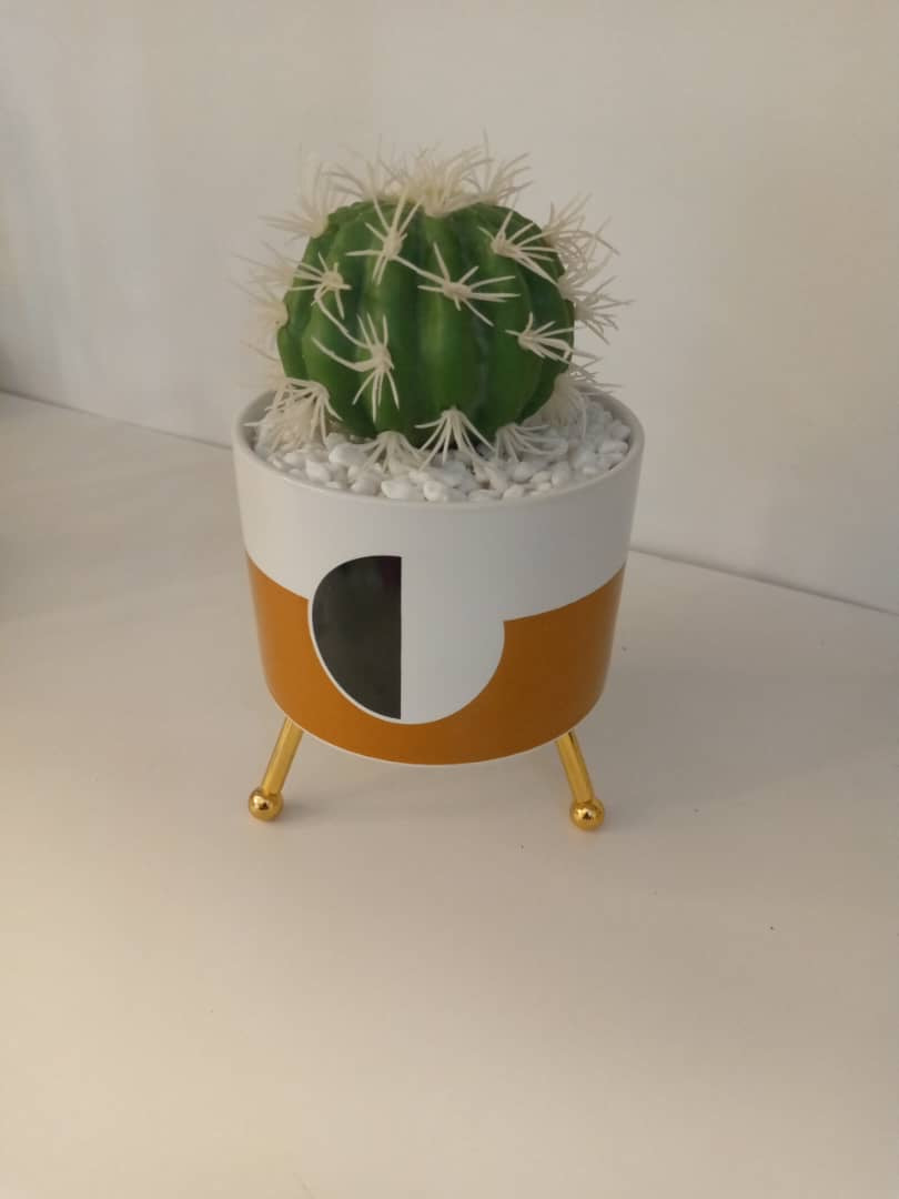 Tripod Table Plant