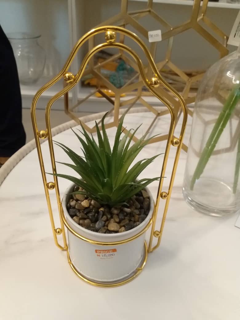 Table Plant