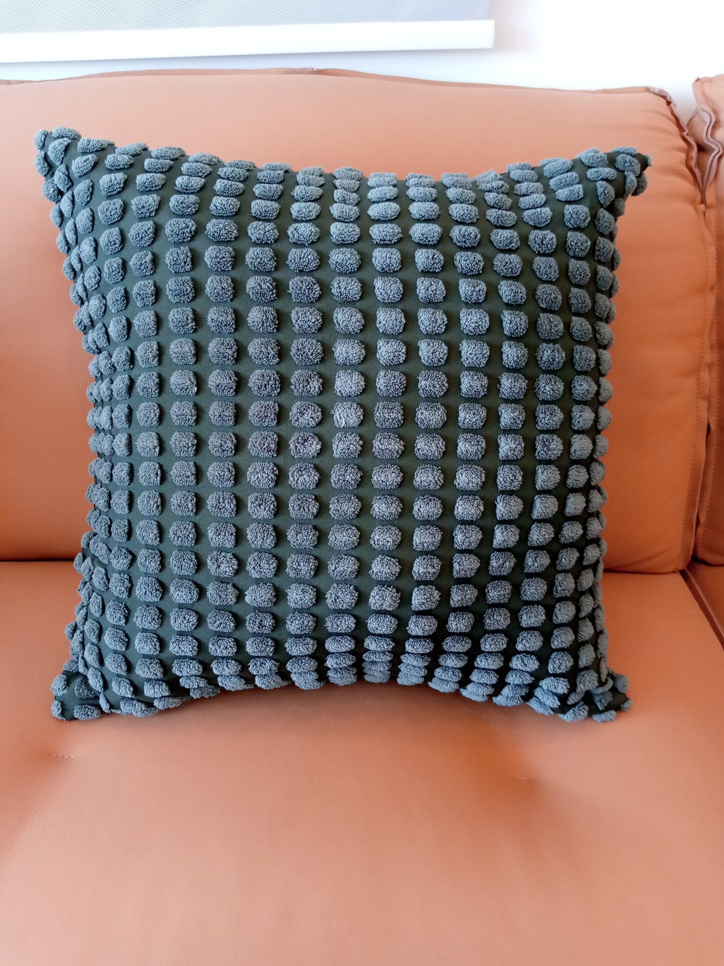 Throw pillows